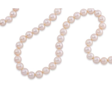 A LONG AKOYA CULTURED PEARL STRAND
Featuring akoya cultured pearls measuring approximately 7.0-8.0mm, singularly knotted in a