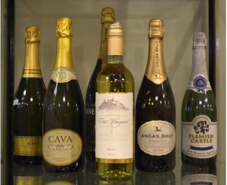 Wines & Spirits - Magnum of Veuve du Vernay Brut sparkling wine, together with four bottles of sparkling wine and a bottle of