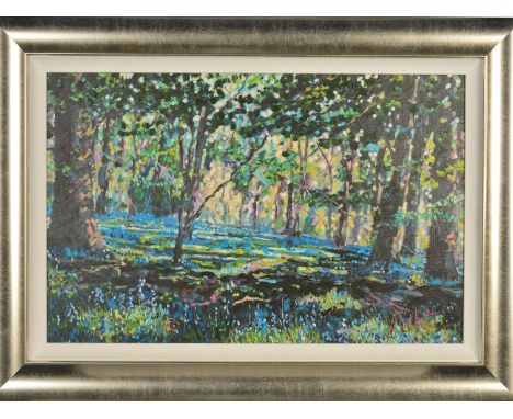 TIMMY MALLETT (BRITISH CONTEMPORARY) 'BLUEBELL SHADOWS' an artist proof print of a bluebell wood 15/20, signed verso, with ce