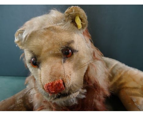 A 1950's Steiff Leo Lion, nickel plated button to ear with yellow tag, golden mohair, black and orange glass eyes (54cm wide)