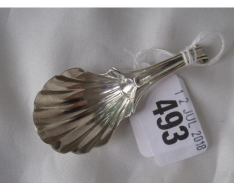 Georgian caddy spoon with trifurcated handle by WB  