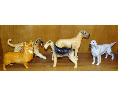 Five Beswick dogs:&nbsp;Afghan Hound Running, Great Dane, "Ruler of Ouborough", English Setter, "Bayldone Baronet", Airedale 