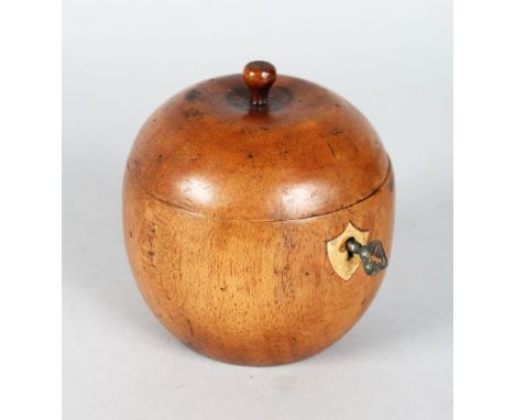 A GOOD APPLE TEA CADDY.  4.5ins.
