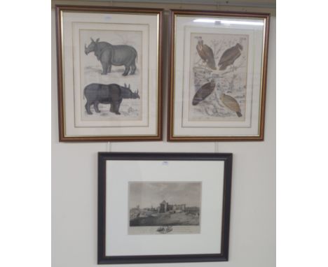 An etching of St Andrews and two wildlife prints (3) Condition Report: Available upon request