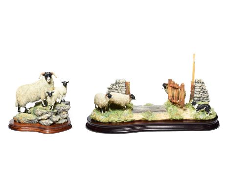 Border Fine Arts 'Right Place Wrong Time' (Swaledale Tup, Ewes and Border Collie), model No. JH104, limited edition 1071/1750