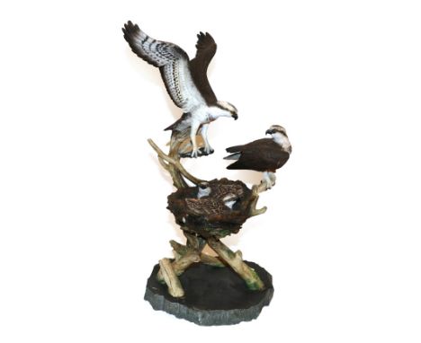 Border Fine Arts 'Fresh from the Spey', (Osprey feeding young), model No. B1272, by Keith Sherwin (a.f)