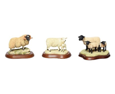 Border Fine Arts Sheep Groups Comprising: 'Suffolk Ewe and Lambs' (Style Three), model No. B0778 by Jack Crewdson, limited ed