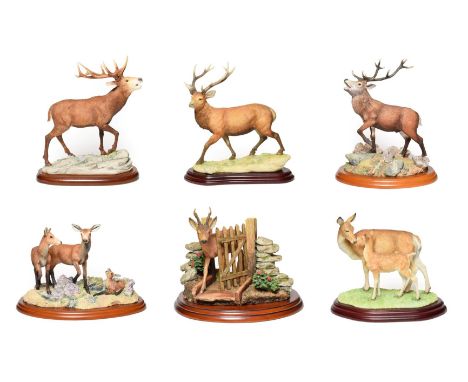 Border Fine Arts Studio Deer Groups Including: 'Red Hind, Follower and Calf', model No. A1486, with box, 'Unwelcome Guest' (D