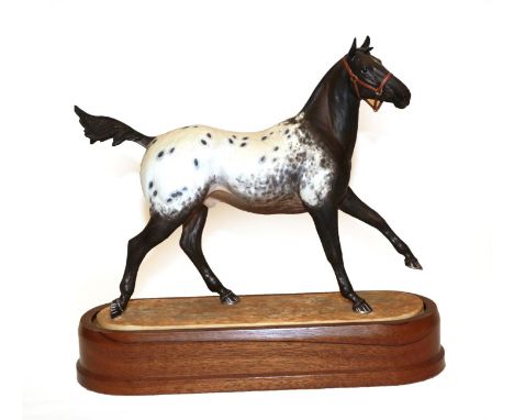 Royal Worcester 'Appaloosa Stallion' ''Imboden's Driftwood Bob'', model No. RW3869 by Doris Lindner, limited edition 716/750,