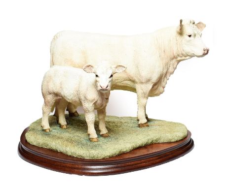 Border Fine Arts 'Charolais Cow and Calf' (Style Three), model No. B0742 by Jack Crewdson, limited edition 709/750, on wood b