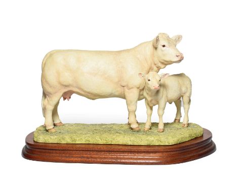 Border Fine Arts 'Charolais Cow and Calf' (Style One), model No. L137 by Ray Ayres, limited edition 896/1500, on wood base, w