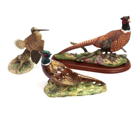 Border Fine Arts 'Woodcock', model No. 085 by James Harvey and 'Pheasant', model No. A1475 by Russell Willis; together with a