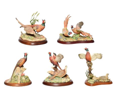 Border Fine Arts Pheasant Groups Including: 'Taking Flight' (Brace of Pheasants), model No. B0183 by David Walton, limited ed