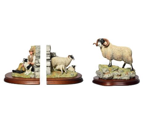 Border Fine Arts 'Blackie Tup' model No. B0354 by Ray Ayres, limited edition 353/1750, on wood base with certificate; togethe