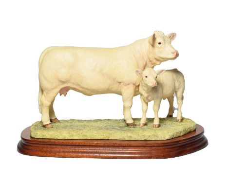 Border Fine Arts 'Charolais Cow and Calf' (Style One), model No. L137 by Ray Ayes, limited edition 638/1500, on wood base, wi