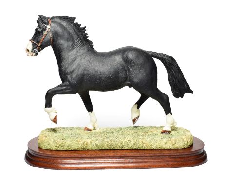 Border Fine Arts 'Welsh Cob Stallion', model No. B0240A by Anne Wall, limited edition 578/1250, on wood base, with box and ce