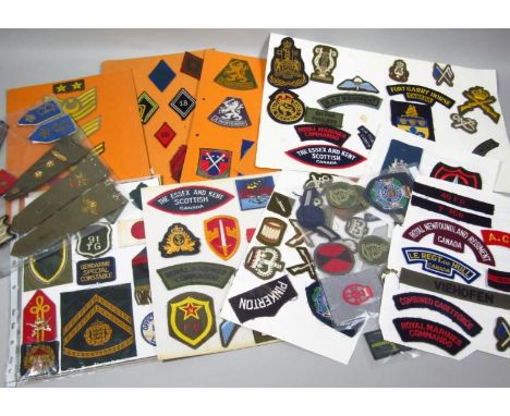 Various military, army and other related badges, cloth badges, shoulder badges, etc, to include Viehofen, 18cm wide, Combined