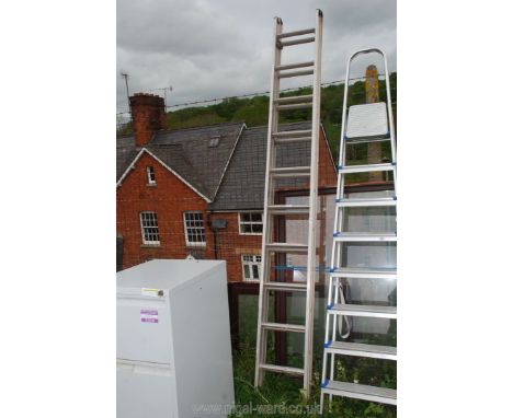 A ten rung double extending aluminium ladder.