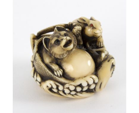 A Japanese ivory netsuke, carved a badger and a hare, Meiji period, circa 1890, 3.5cm high/see illustration Condition Report: