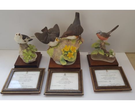 Three Royal Worcester James Alder limited edition bird figurines with certificate.
