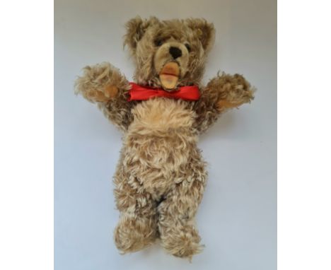 A Steiff Zotty teddy bear.