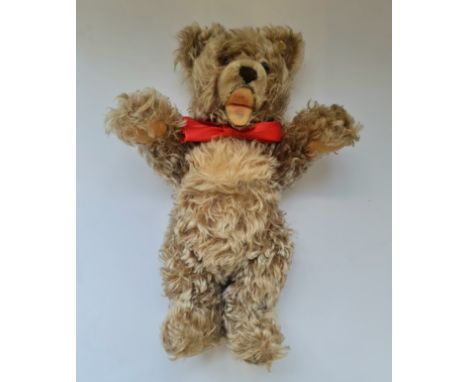 A Steiff Zotty teddy bear.