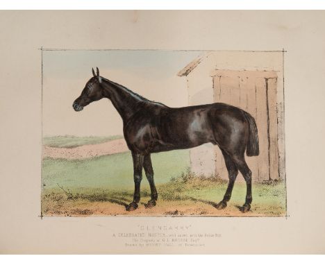 [Cavalli]. Miles, William. Modern practical farriery. A complete guide to all relates to the horse, its history, varieties, a