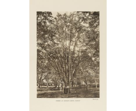 Trees.- Elwes (Henry John) and Augustine Henry. The Trees of Great Britain and Ireland, 8 vol., including index, portrait, 5 