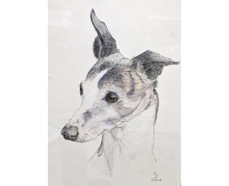Winkle
Pencil drawing
Studies of a whippet, indistinct signature, dated 20th May 71
Pencil heightened with colour
Head portra