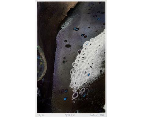 Gerhard Richter (German 1932-), 'Leben Und Werk (Collectors Edition)', 2021, C-Type print on wove paper, signed, titled, date