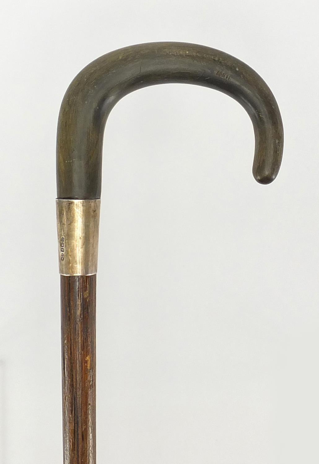 Horn handled exotic wood walking stick with silver collar, possibly ...