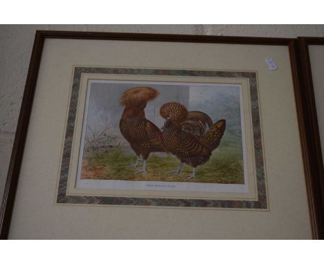 AFTER LUDLOW, THREE COLOURED PRINTS, VARIOUS POULTRY BREEDS