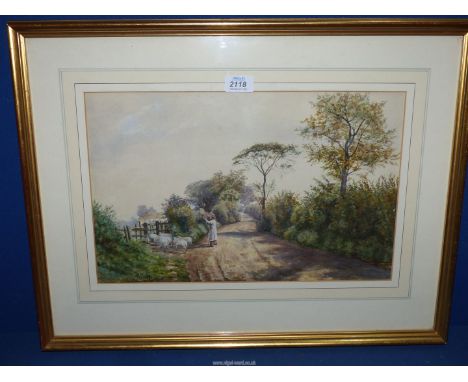 A framed and mounted Watercolour depicting a Shepherdess driving her sheep into a field, signed lower left 'Norman M. Macdoug