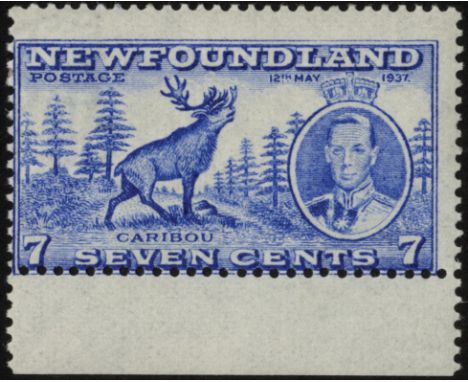 Newfoundland. 1937 Coronation 7ct comb perf 13.25, mint bottom marginal example, very poorly centred as usual. Minor natural 