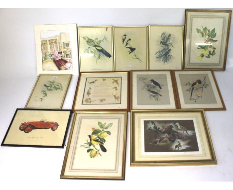 An assortment of pictures and prints. Mostly of birds and animals. All framed and glazed. Various sizes. 