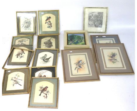 A large collection of prints and pictures. The majority comprising prints of birds, together with a pencil drawing of a garde