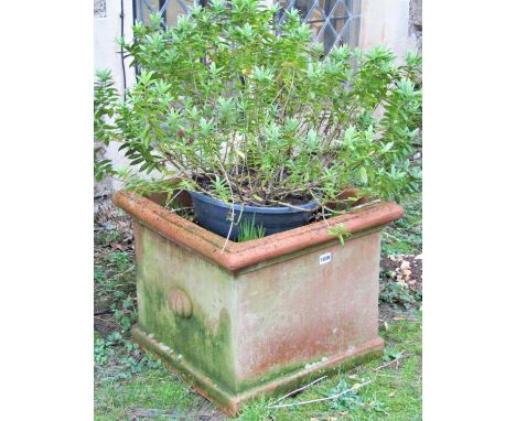 A weathered terracotta planter of square cut and moulded form (planted) 50cm square x 42cm high 