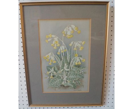 Eleanor Ludgate (20th century British) - Cowslips, gouache on paper, signed, 30.5 x 20cm, together with an early 20th century