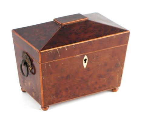 An early 19th century sarcophagus form yew wood two-division tea caddy with basket ring handles, 19cms wide.