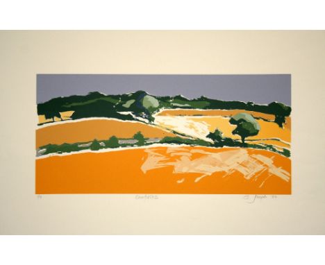 S Joseph Cornfields 1984 lithograph 8 of 9 signed 57 x 77 cm unframed On show at the Curwen Gallery  RRP £ 