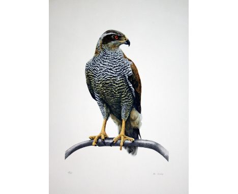 Don Cordery Eagle lithograph 58 of 150 signed 78 x 57 cm unframed On show at the Curwen Gallery  RRP £ 100