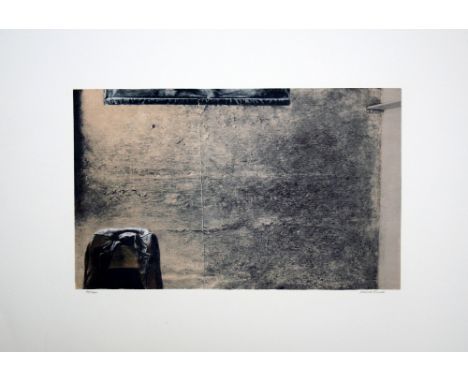 David Tindle The Moth lithograph 90 of 240 signed 57 x 77 cm unframed creased corner On show at the Curwen Gallery  RRP £ 95