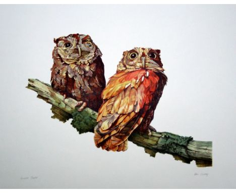 Don Cordery Two Little Owls lithograph Curwen Studio signed 57 x 78 cm unframed On show at the Curwen Gallery  RRP £ 100
