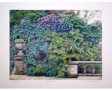 Arthur Byrne Rhododendrons lithograph Curwen archive signed 56 x 69 cm unframed On show at the Curwen Gallery  RRP £