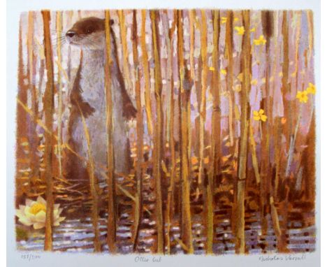 Nicholas Verrall Otter Cub lithograph 244 of 250 signed 49 x 58 cm unframed On show at the Curwen Gallery  RRP £ 125