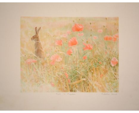 Nicholas Verrall Hare in Meadow lithograph archive signed 50 x 63 cm unframed On show at the Curwen Gallery  RRP £ 