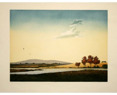 John McNaulty Herons lithograph 13 of 250 signed 76 x 92 cm unframed creased and marked On show at the Curwen Gallery  RRP £ 