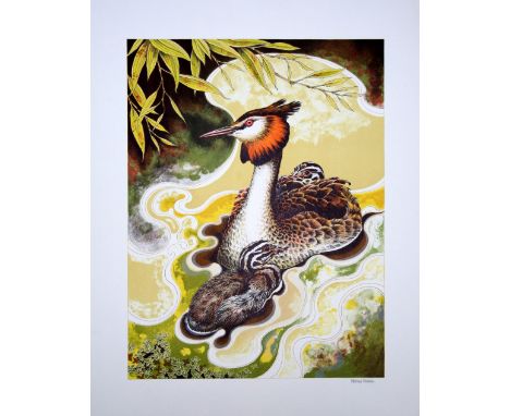 Michael Warren Grebe lithograph archive signed 65 x 51 cm unframed On show at the Curwen Gallery  RRP £ 