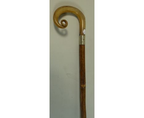 A Pretty Ladies Horn Handled Walking Stick with White Metal Banding