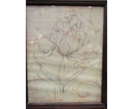 Cooper Smith Contemporary Artist sketch of floral specimen, mahogany frame 47cm x 37cm